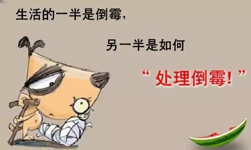 尝试名人名言