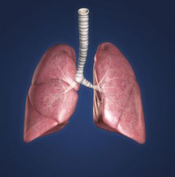 治疗肺纤维化最好的方法都有哪些