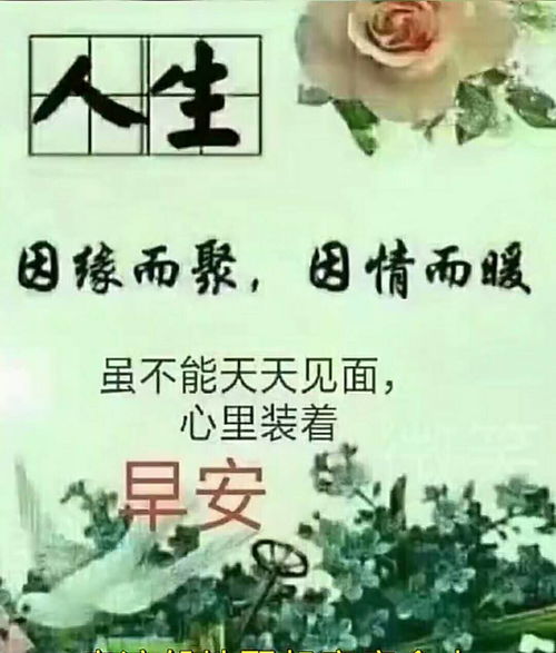 懂得放弃,学会释怀,收获幸福,婚恋