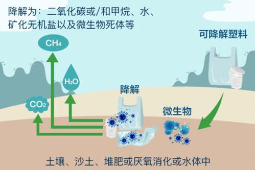 可降解塑料真的被降解了吗？