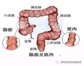 央视主持肖晓琳因癌症去世 曾主持 今日说法