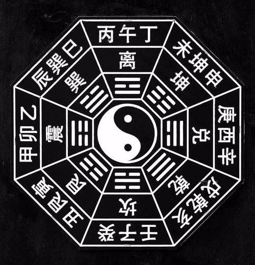 亥午合(亥午合各取所需)