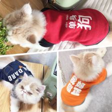 猫衣服宠物秋冬