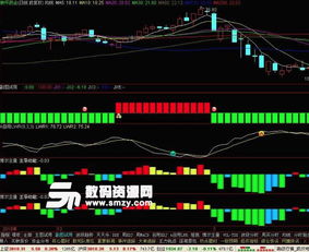 通达信软中vipdoc是什么文件