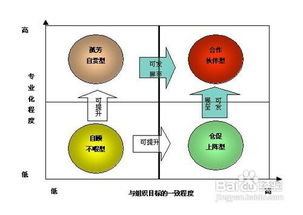 无形资产增资具体流程