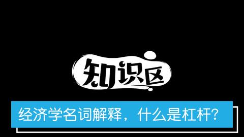 请问经济学中的“杠杆”最具体解释是什么？