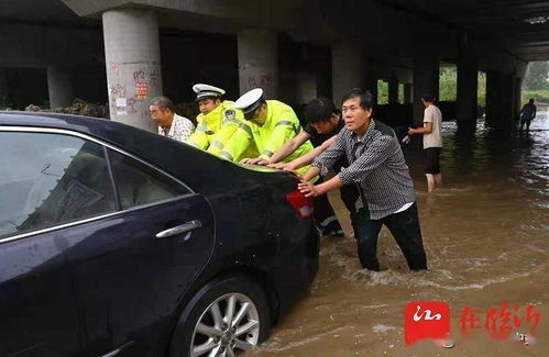 临沂有哪几个交警大队能处理违章,要地址和电话,谢谢(临沂公安局免费停车场电话)