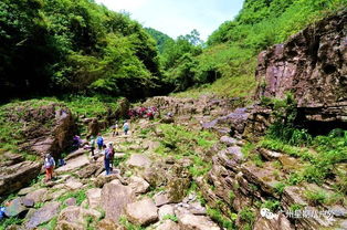 恩施大峡谷 鹿院坪 清江古河床 走进神奇大峡谷 屏山峡谷 探索地心世界