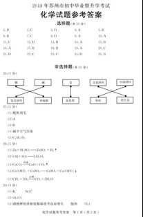 网络效应试题及答案