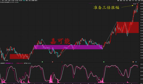 000611时代科技这只股潜力如何？后市如何操作？