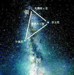 牛郎星属于什么星座 