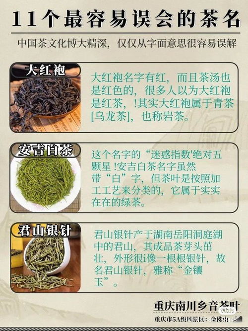 茶知识科普