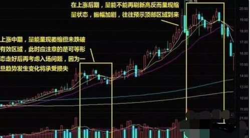 大跌过后又缩量下跌 到底是买盘减少还是买盘减少?