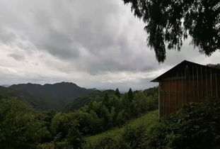 出游 桃花源 时光隧道 快来永康这个美丽小镇一日游