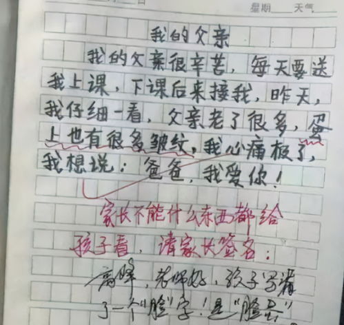 我的严厉老妈作文