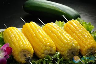 玉米的营养价值及功效与作用 玉米怎么吃减肥 