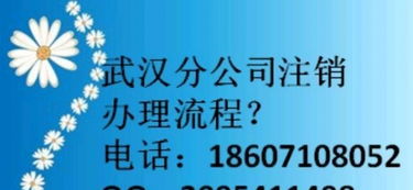 分公司要注销赔偿怎么算？