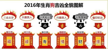 十二生肖2016年整年财运 感情运势如何