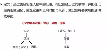 认知障碍是什么意思