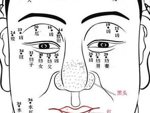 财经理财 人工智能实验室旗下财经理财频道,汇集最新最全的财经理财新闻及资讯,让您掌握财经理财第一手的资讯 中国人工智能网 Powered by 