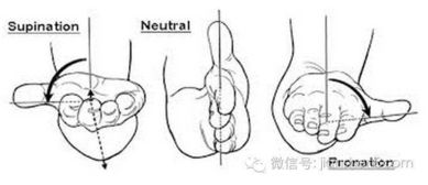 高位下拉正手和反手握法有什么分别