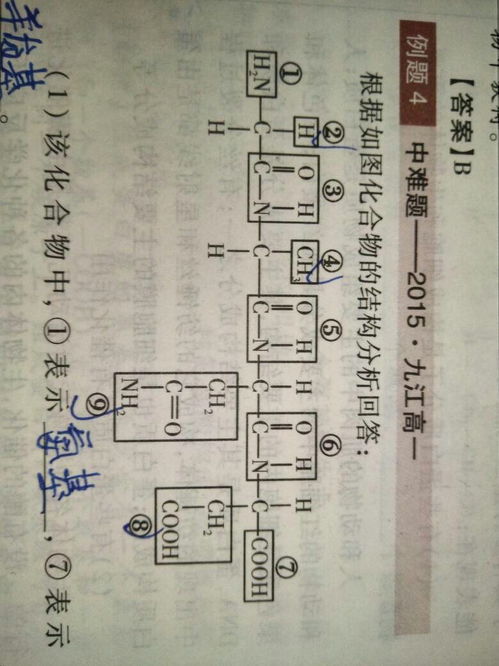 肽键,肽键名词解释(图2)