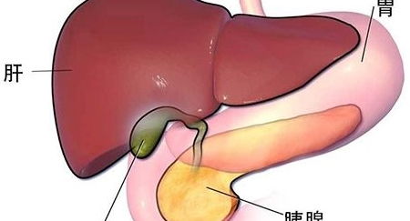 胆囊切除后对身体有哪些影响 还能吃鸡蛋吗 今天一次讲清