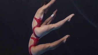 雅加达亚运会跳水金牌总数,雅加达亚运会跳远