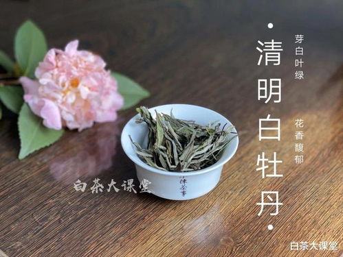 六宝茶叶是属于什么茶