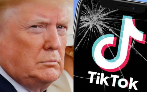 TikTok营销合作伙伴_tiktok 核心代理商