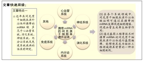 西电毕业查重率与学术质量的关系探讨