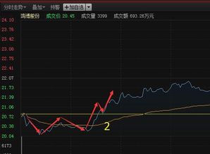 现在的股票价格是否偏高了点(高手来)