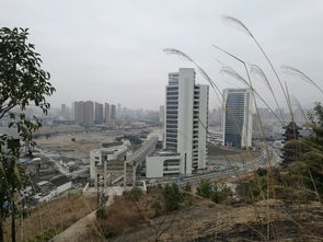 温州市牛山公园停车免费时间(温州鹿城区哪有免费停车场)