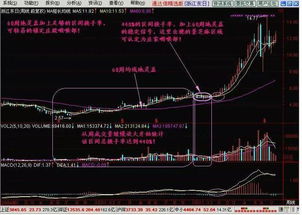 请问股票里的“货”是什么意思？看《窃听风云2》里他们经常说