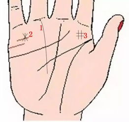 掌纹金星丘是什么,手纹相上各大星丘代表了些什么 手掌八大星丘代表的含义解析？