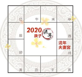 紫微精论 2020庚子年感情运势解析 