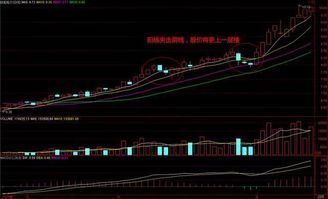 皖能电力000543今天会上涨吗？