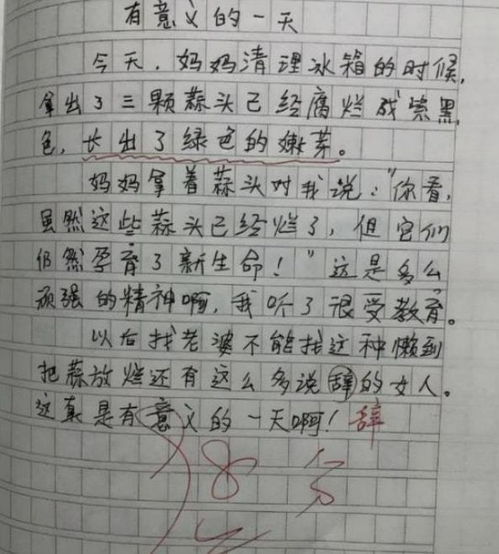 中學生活真有趣作文700字