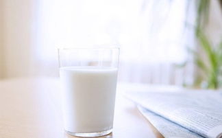 睡前喝牛奶会胖吗 晚上喝纯牛奶会胖吗