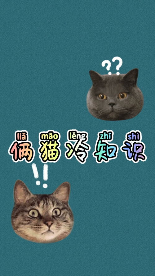 猫的八个冷知识小故事</title>
<meta name=