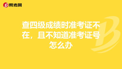 免准考证号查四级成绩,没有准考证怎么查英语四级成绩查询(图1)