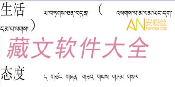 藏文软件有哪些 藏文软件大全 藏文软件下载