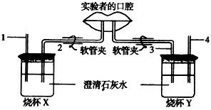 麻烦老师解答 下图所示的是研究人体 