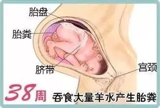 孕晚期胎宝 准妈的变化有哪些呢 看完本文成竹在胸