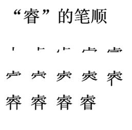 睿字的笔顺怎么写 