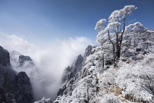 冬季适合情侣旅游的六个旅游胜地,看看你去过几个