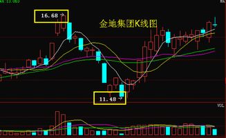 对金地集团该股怎么操作？