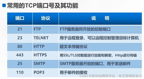 TCP和UDP