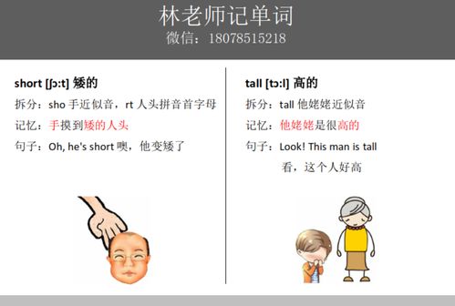 人教版五年级英语上册单词表,高矮小瘦的单词怎么记