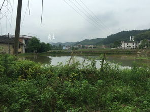 阳宅风水何氏故居实战教学培训,回龙顾主巧妙开门立申山寅向,大富大贵多代人